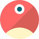 pNetwork logo